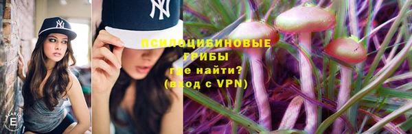 спиды Магас
