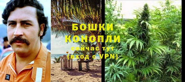 мяу мяу мука Магадан