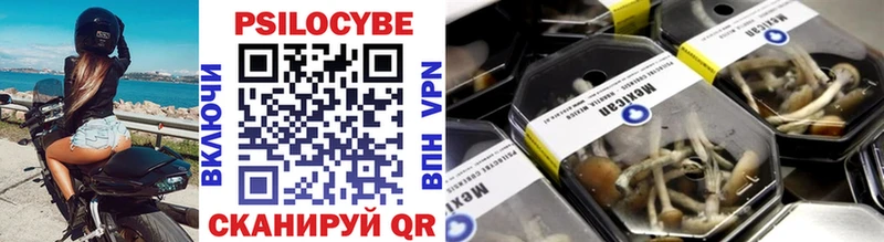 Купить  Ессентуки  Псилоцибиновые грибы Cubensis 